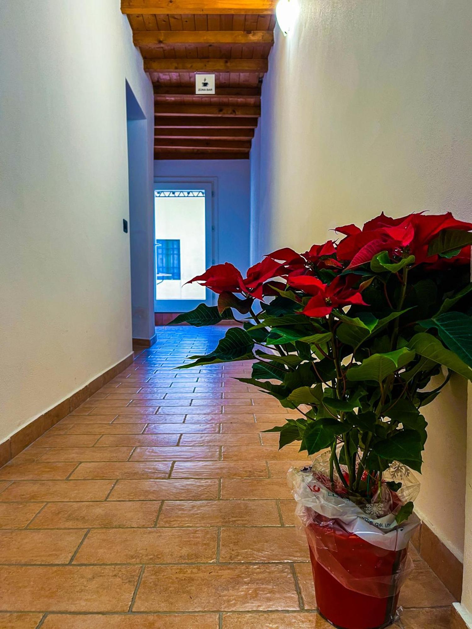 House Brennero 29 Apartment Carpi Exterior photo